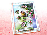 Greeting Cards Value Pack 2