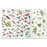 49 And Market Rub-On Transfer Set - Botanical, Kaleidoscope