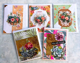 Summer Greeting Cards Value Pack - Colorful Succulents
