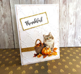 Greeting Cards Value Pack Autumn 2