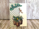 Greeting Cards Value Pack From the Garden