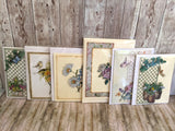 Greeting Cards Value Pack From the Garden
