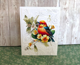 Greeting Cards Value Pack Whispers of Nature