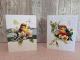 Greeting Cards Value Pack Whispers of Nature