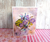 Greeting Cards Value Pack Celebrate Summer