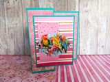Greeting Cards Value Pack Celebrate Summer