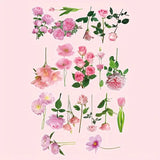 Clear Floral Acetate Stickers - 40pcs - 3 varieties