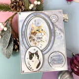 Hunkydory Luxury Topper Set - A Purr-fect Christmas