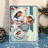 Hunkydory Luxury Topper Set - Little Robin Redbreast